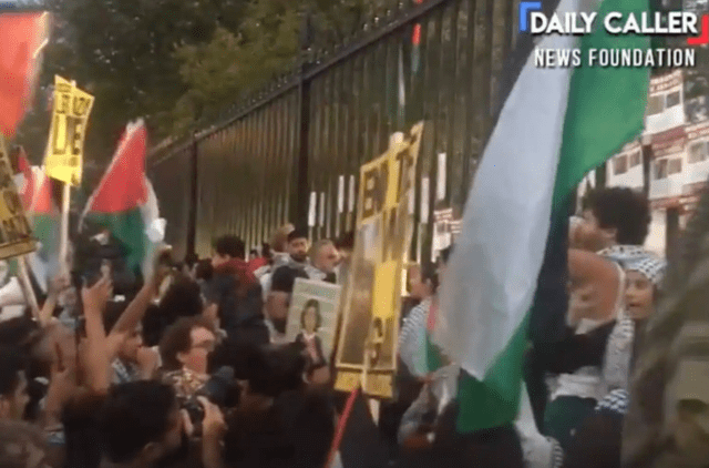 pro-Palenstine protesters